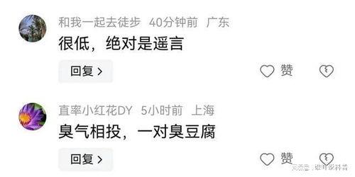 吃瓜娱乐采访是真的吗还是假的,真相与虚构的边界